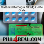 Sildénafil Kamagra 100Mg Gelée Orale new03